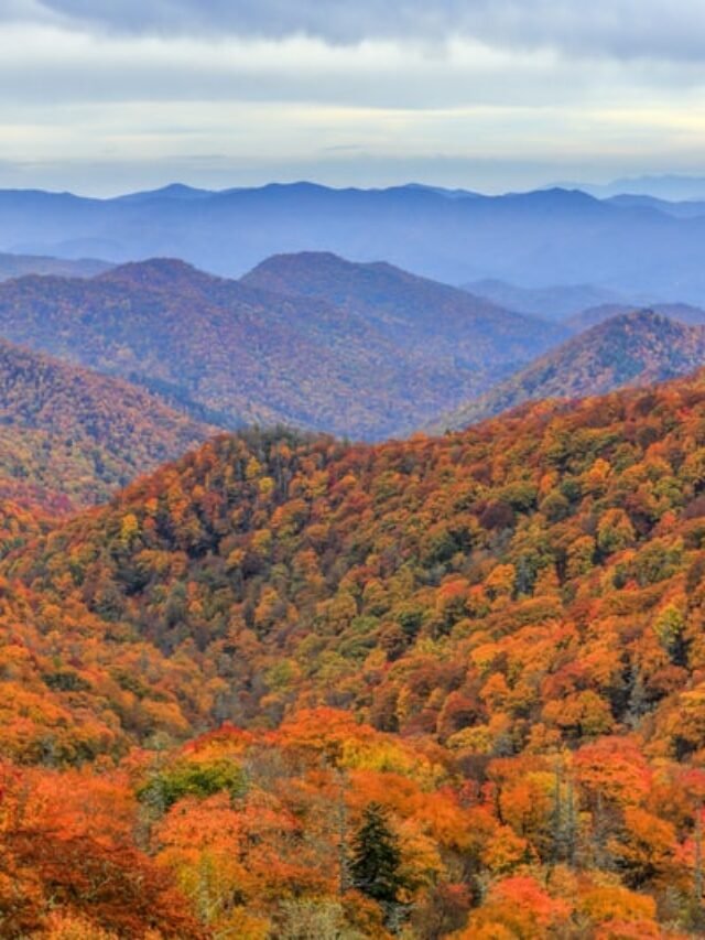 Top 10 Most Visited National Parks in the USA