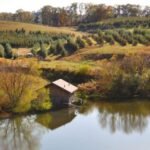 Exciting Things to do in Blue Ridge Georgia USA