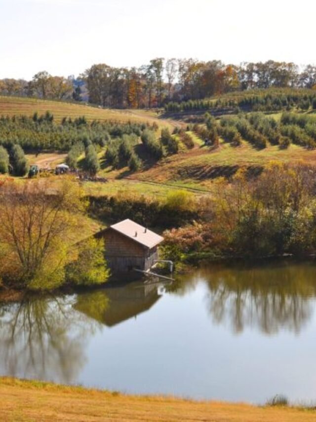 Exciting Things to do in  Blue Ridge Georgia USA