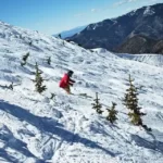 Incredible Day Trips in in New Mexico United States