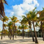 Things to do in Miami USA this weekend