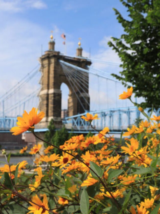 Things to do in NYC this weekend in Cincinnati America